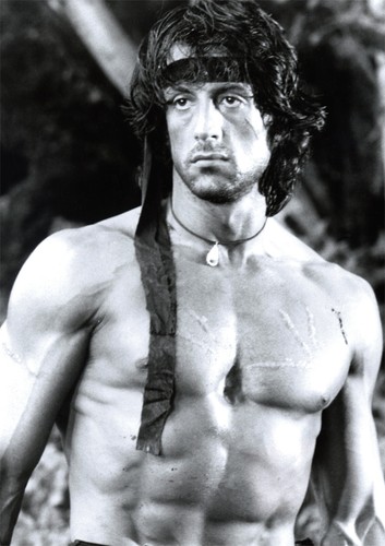 Rambo sylvester stallone - rambo,