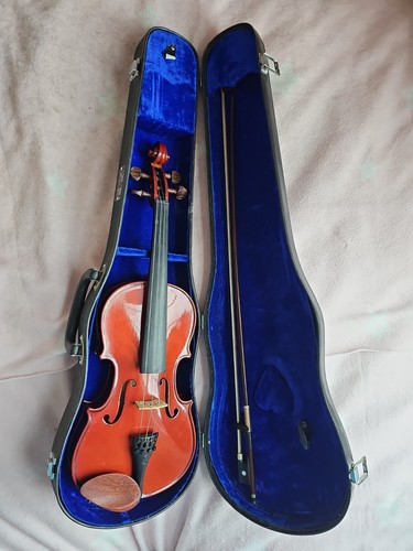 Violin stentor student - student, 1