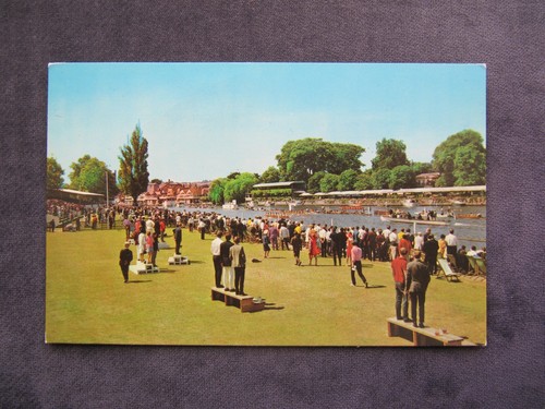 Vintage postcard the royal - of,