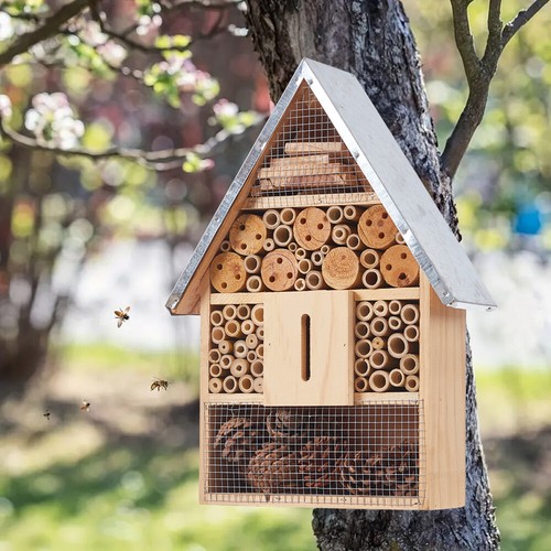 Insect wooden hotel metal roof - insect,