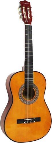 Martin smith acoustic guitar - smith,