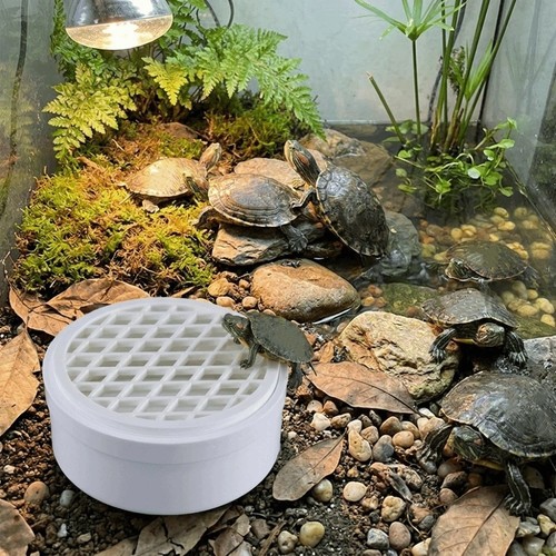 Plastic turtle poop collector - plastic,