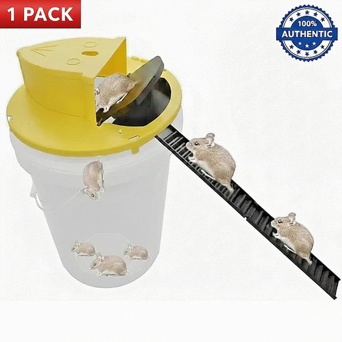 Flip slide mouse rat - /,