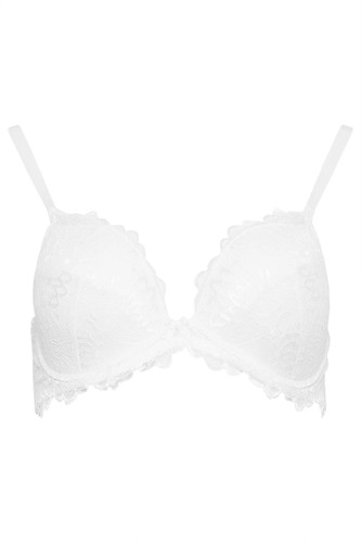 Lace shirt bra - m&co,