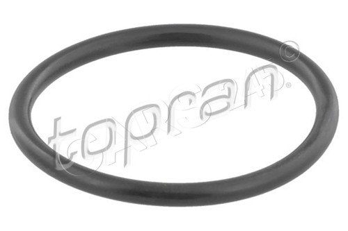 Thermostat housing gasket - housing,
