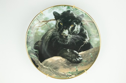 National wildlife federation - national,
