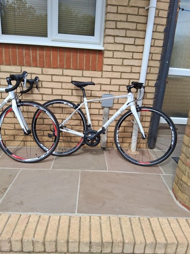 Ribble sportive carbon - sportive,