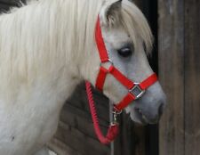 MINI SHETLAND & SHETLAND PADDED HEAD COLLARS in ROYAL BLUE, BLACK, RED, PURPLE.