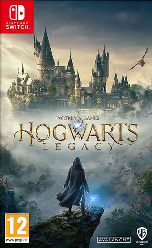 Hogwarts legacy pegi - legacy,