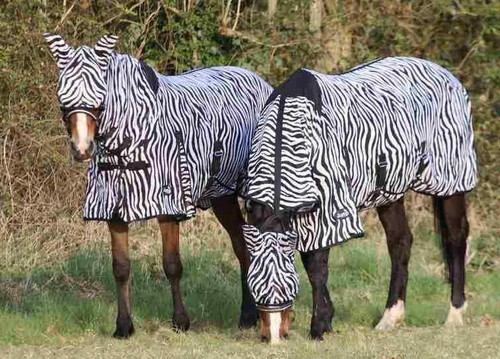Zebra print horse fly rug - zebra,