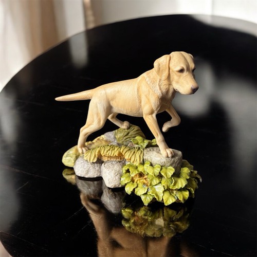 Teviotdale golden labrador dog - teviotdale,