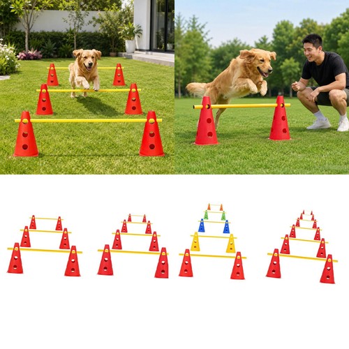 Dog agility equipment - dog,