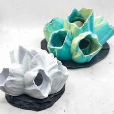 Barnacle Cluster Fish Hide |