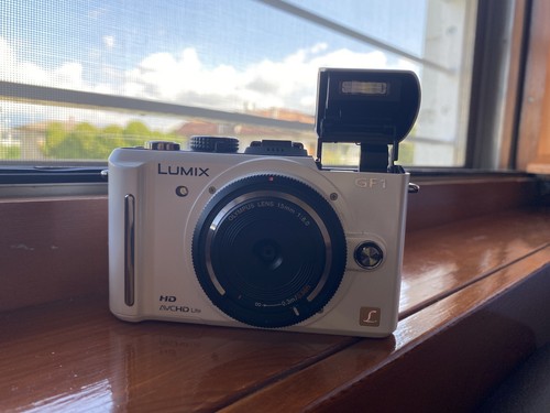 Panasonic gf1 - panasonic,