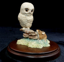 Border Fine Arts "Barn Owl