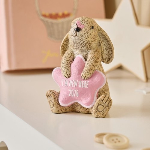 Shining star bear - my,