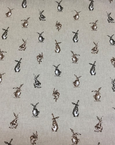 Chatham glyn shabby hares - chatham,
