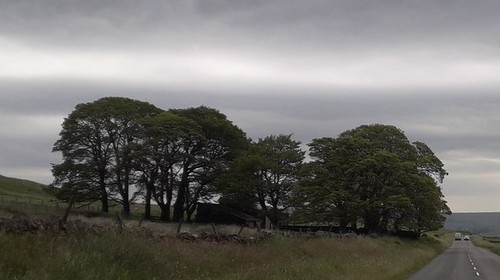 Photo 6x4 copse - 6x4,