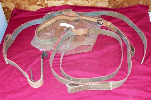 Horse pack belt leather - horse,