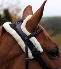 XFULL Size 🩷 Black