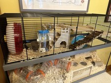 Ferplast Gabry 80 Glass Rodent Cage