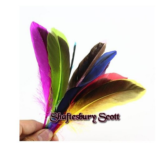 Mallard duck feathers natural - mallard,