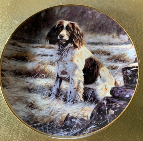 Dog springer spaniel plate - dog,