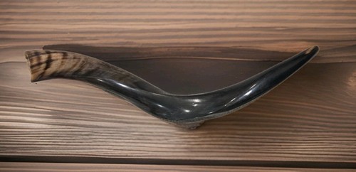 Shofar yemenite kudu - shofar, 21"