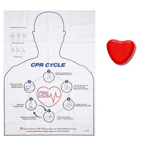 Manikin model first aid - manikin,