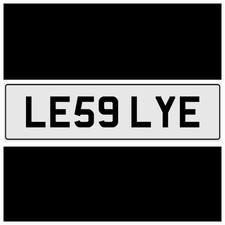 LESLEY E THEME LES LEZ LESLIE