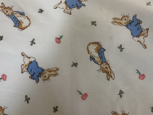 Potter peter rabbit window - b,
