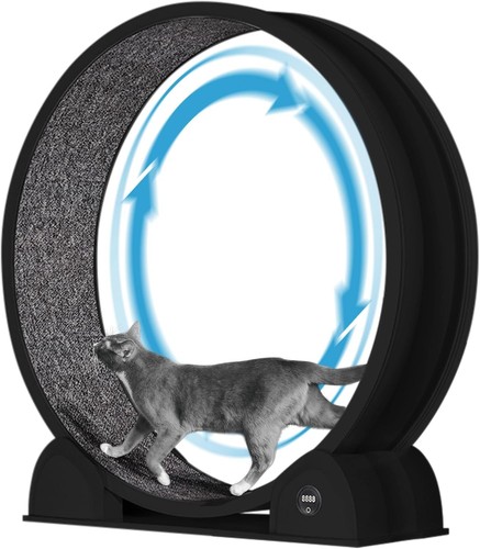Cat exercise wheel large - exercise,