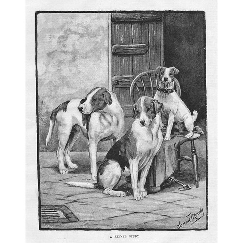 Fannie moody dogs a - -,