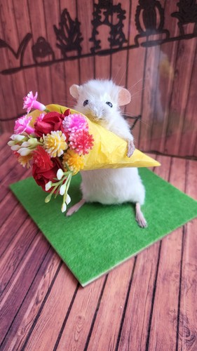 Taxidermy mouse unique cute - taxidermy,