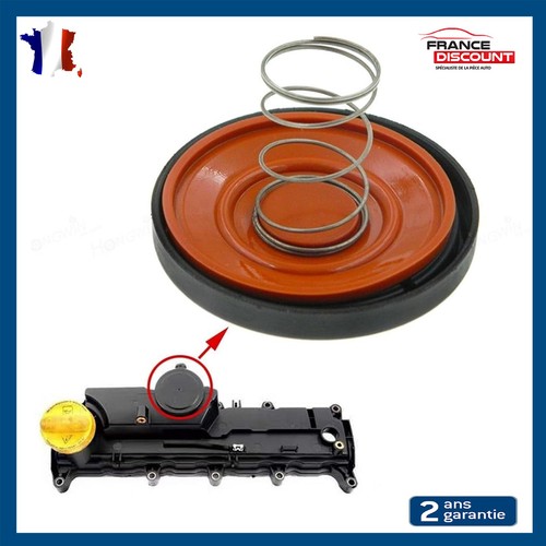 Degassing valve diaphragm - valve,
