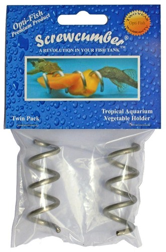 Screwcumber aquarium - -,