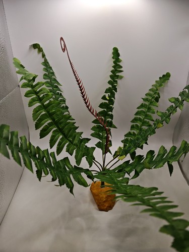 Artificial reptile plants - reptile, |