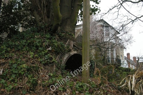 Photo 6x4 anderson shelter in - photo, shelter,
