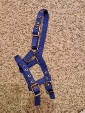blue nylon mini/foal fully adjustable headcollar
