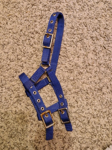 Blue nylon mini - nylon, fully