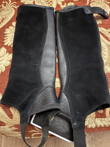 Ariat junior concord half - ariat,