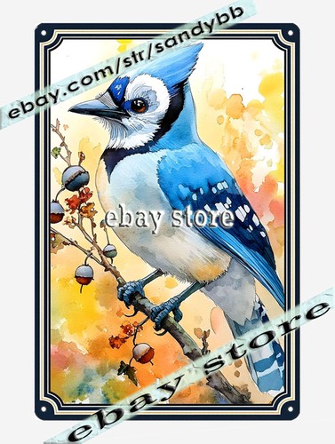 Blue jay metal tin - tin, sign