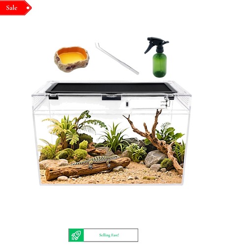 Small reptile terrarium - reptile,