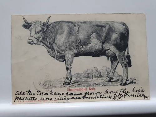 Vintage postcard simmental - vintage, postcard,