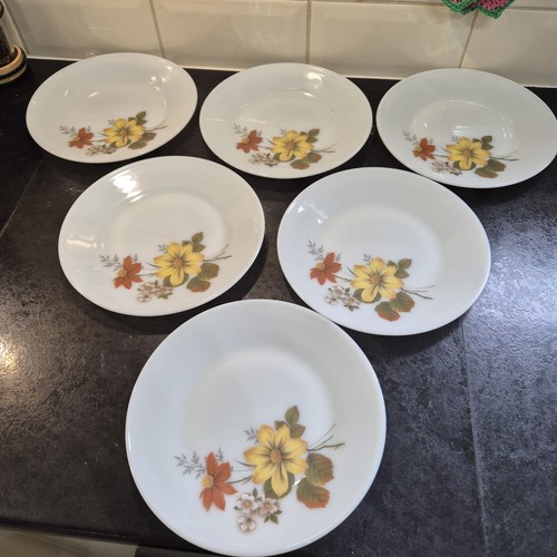 Jaj pyrex autumn glory - 6, x