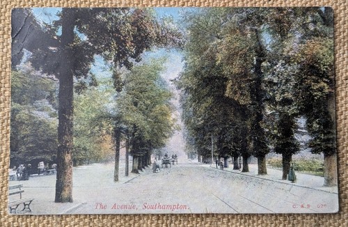 Southampton the avenue - the,