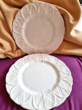 Coalport 2 dinner plates 27 cm. Countryware.