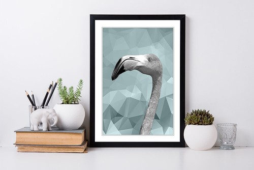 Flamingo black and white duck - and,