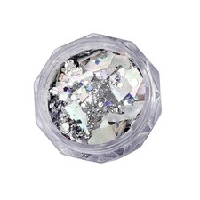 Irregular Abalone Seashells