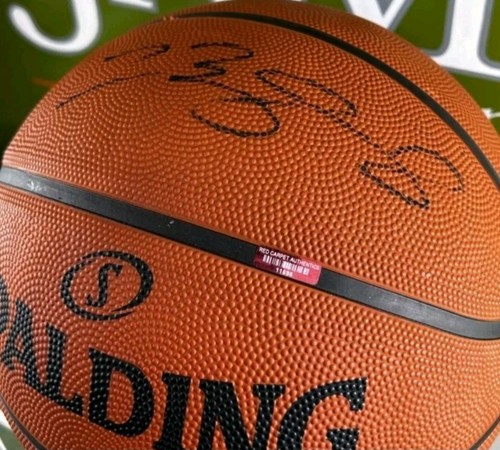 Nba spalding lebron - spalding, james